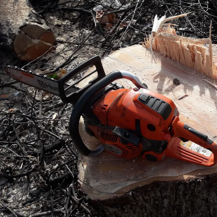 curso de motosierra y riesgos laborales